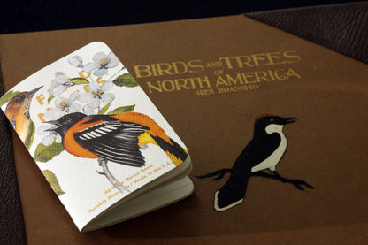 Field Notes: The Birds and Trees of North America Memo Book - 3 Pack