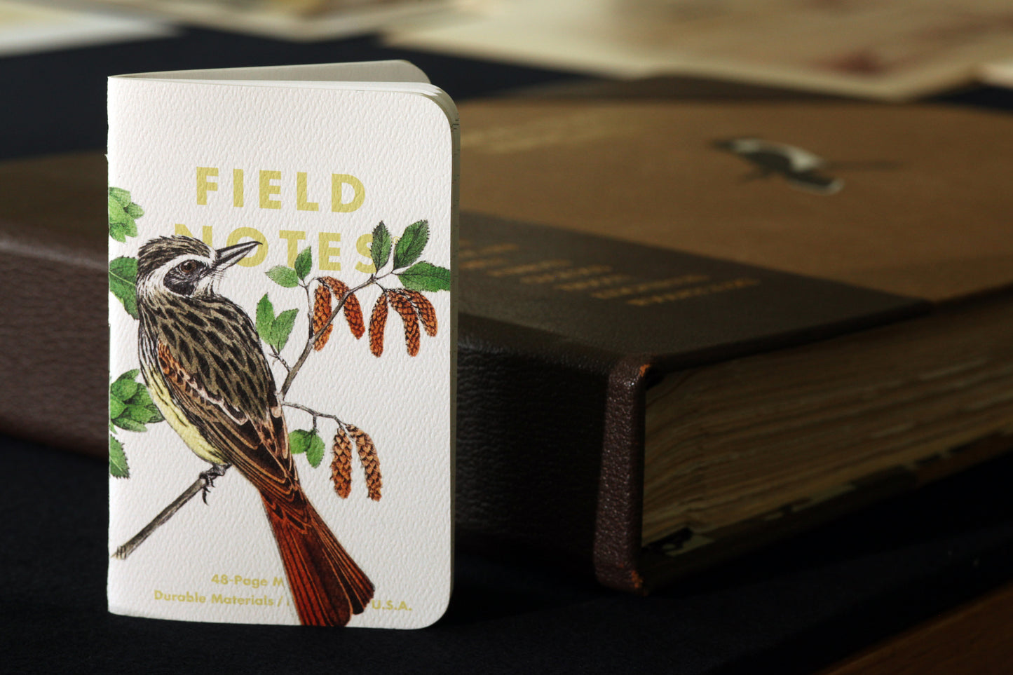 Field Notes: The Birds and Trees of North America Memo Book - 3 Pack