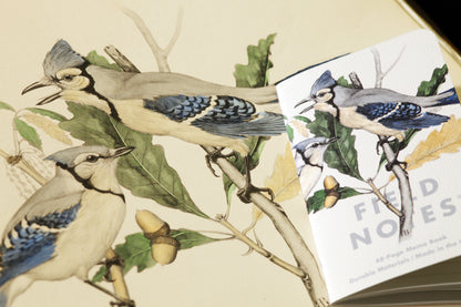 Field Notes: The Birds and Trees of North America Memo Book - 3 Pack