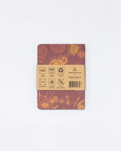 Cognitive Surplus: Lab Science Pocket Notebook 4-pack