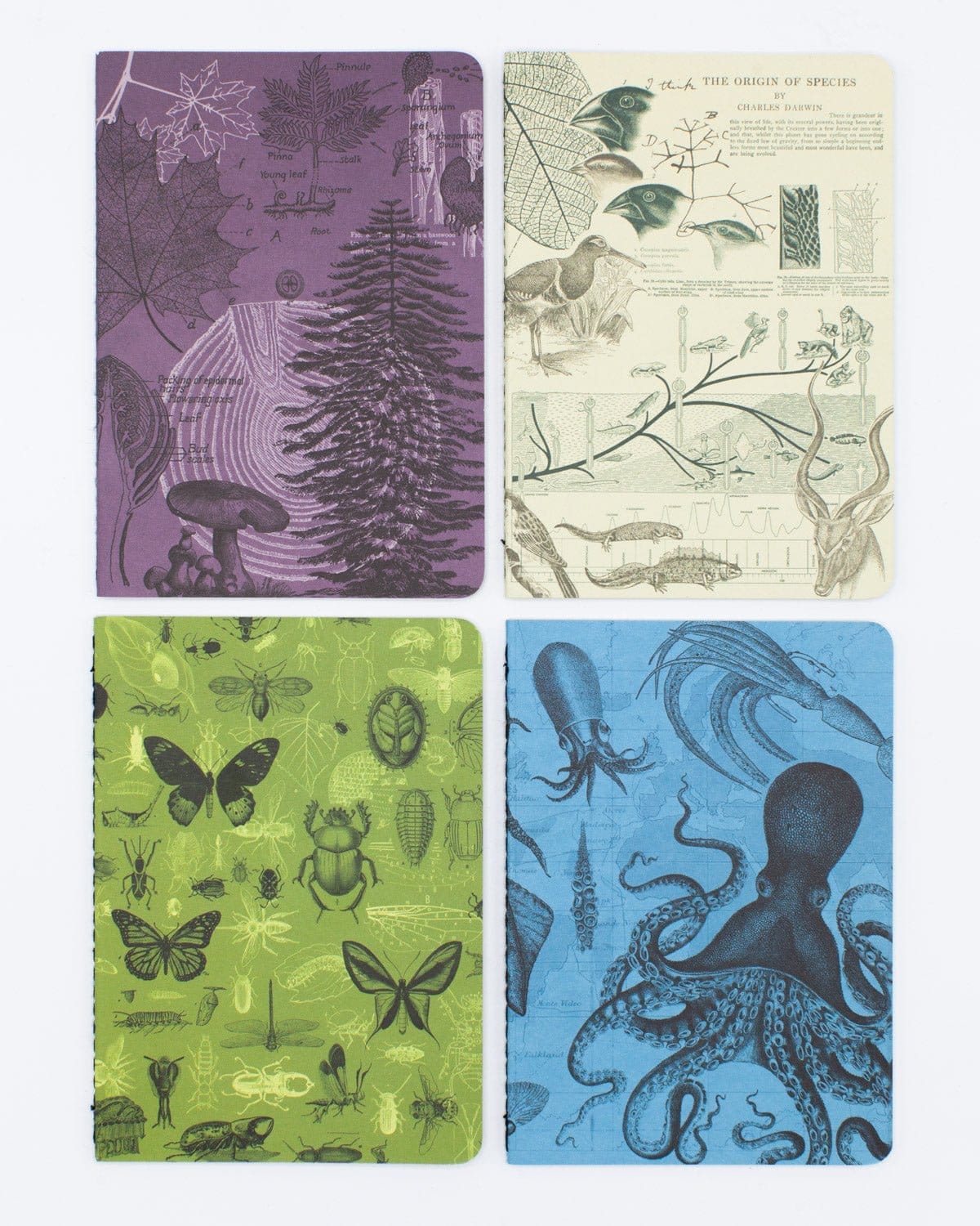 Cognitive Surplus: Natural Science Pocket Notebook 4-pack