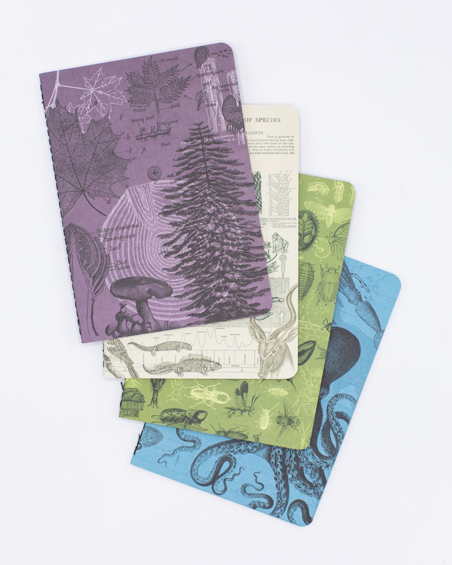 Cognitive Surplus: Natural Science Pocket Notebook 4-pack