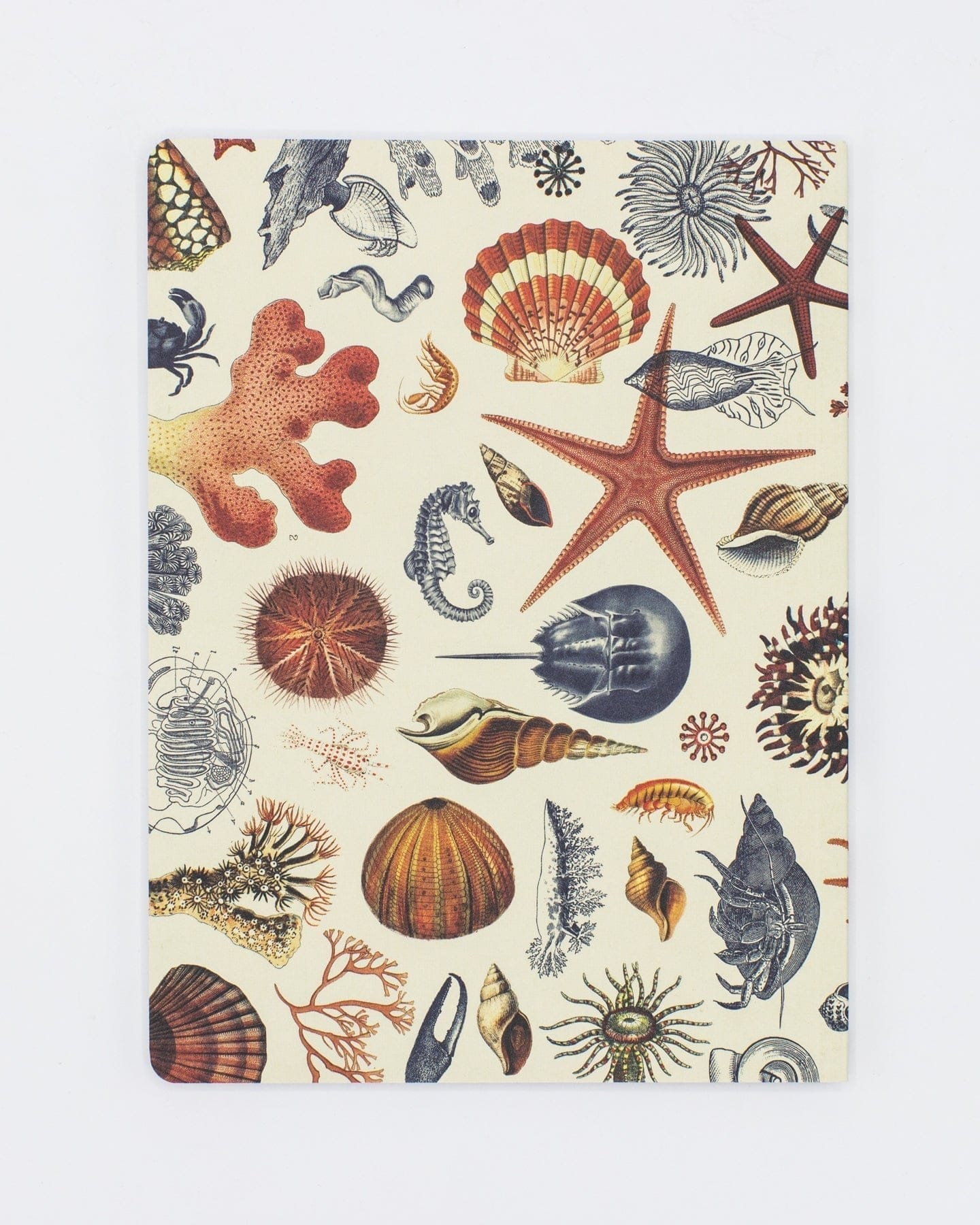 Cognitive Surplus: Shallow Seas Softcover Notebook - Lined