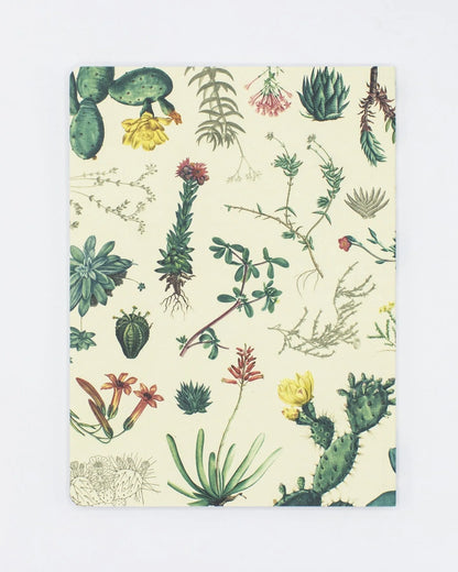 Cognitive Surplus: Succulents Softcover Notebook - Lined